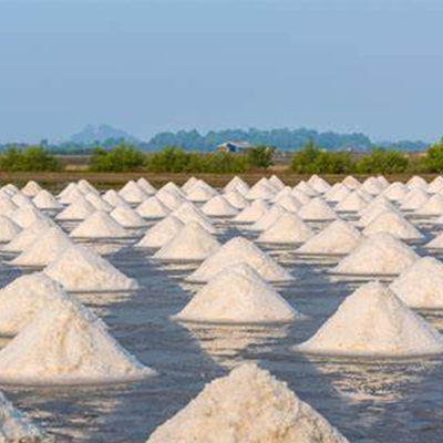 Evaporador de água poluída para fabricação de papel