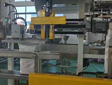 Linha de Máquina de Embalagem de Sal de Duas Vias - Solução de Embalagem de Sal de Alta Capacidade